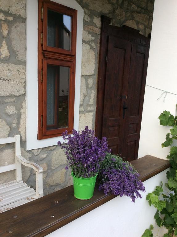 Vitamin B63 Vendégház Boldogkovaralja Exterior foto